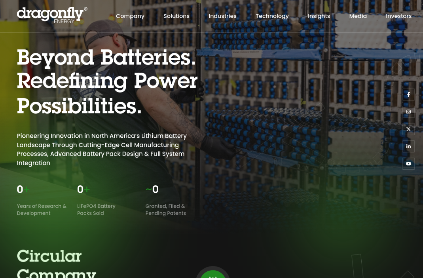 Dragon Fly Energy website preview